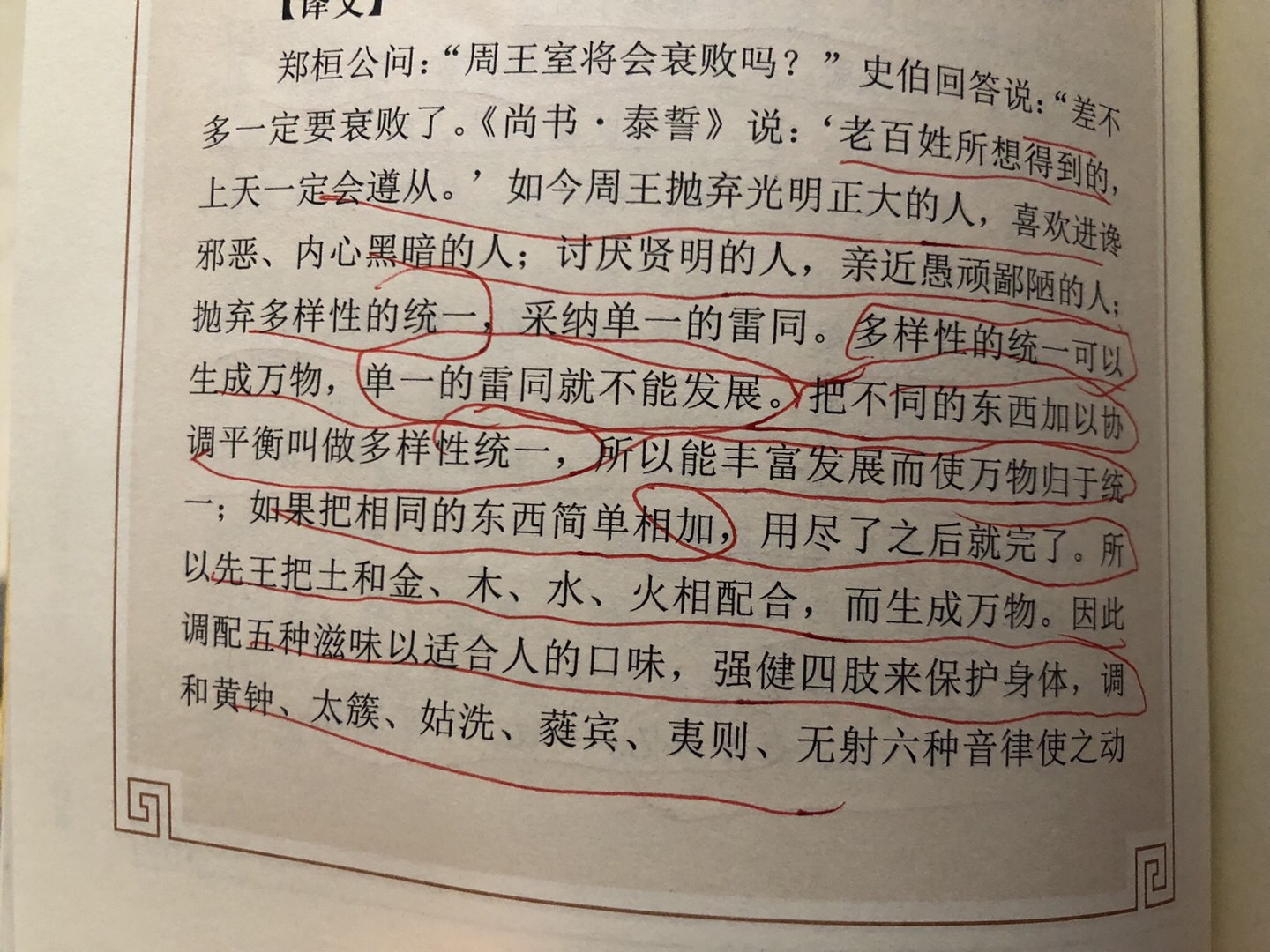 B3C688A7-723D-4F25-9F70-30D62D7B0142.jpeg