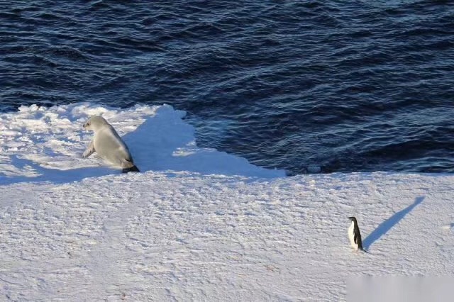 B0AD0C21-125F-4FEB-9B56-9375B21782F1.jpeg