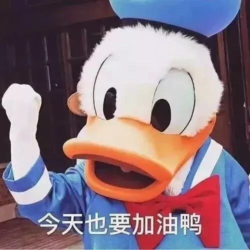CEECCB63-3AD5-4F2F-B651-50E55B459B69.jpeg