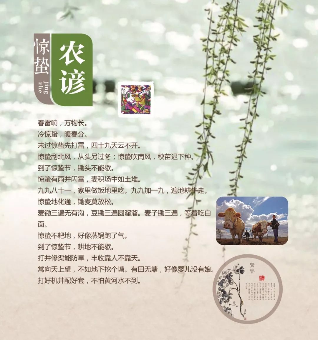CE794599-0A10-4F69-AC17-78F929EC9246.jpeg