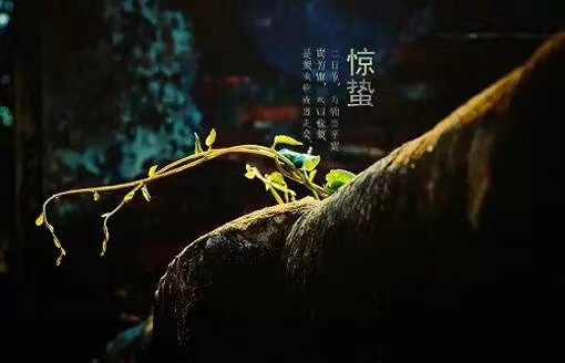 68CD24E0-5F7E-4384-A2EF-D16340B37A23.jpeg