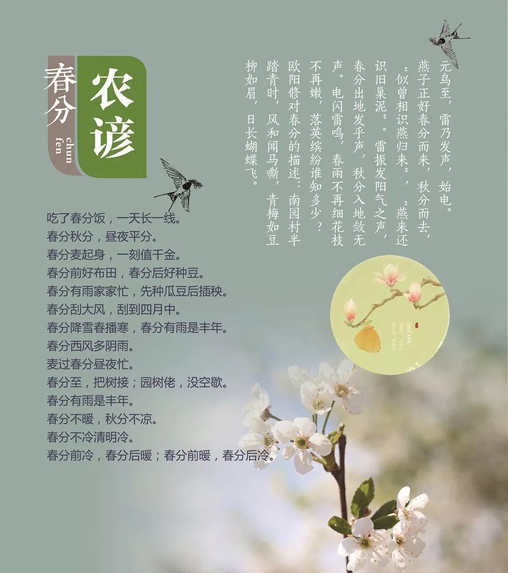 A9620A9A-EEB9-491E-BE6B-2FFABCFE6BD8.jpeg