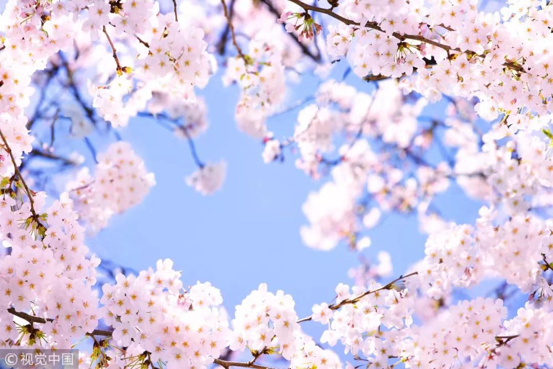 B140DB8E-7763-47C8-826C-530D62EFDCEE.jpeg