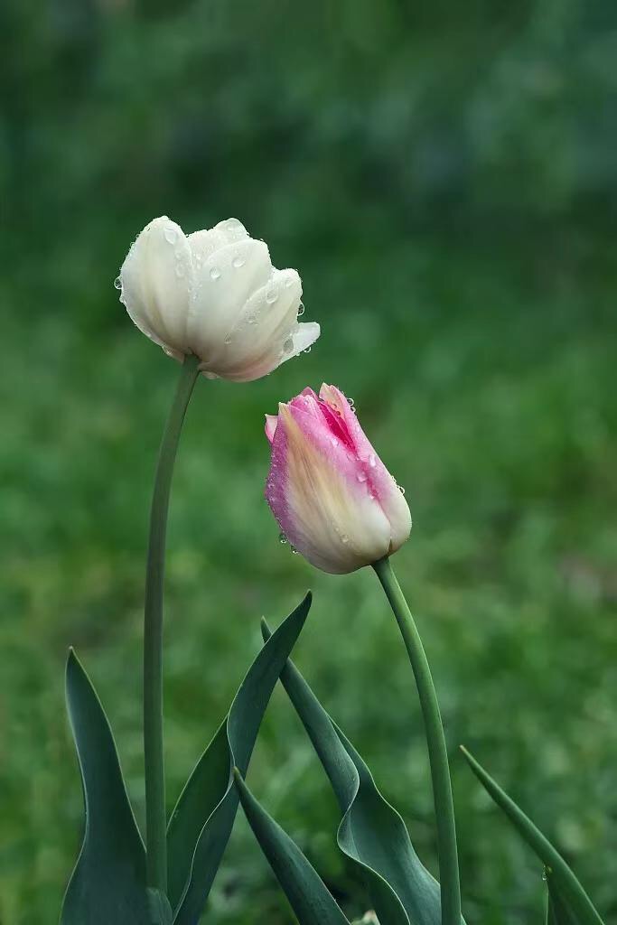 02FFF3D8-99CA-4CDD-AD66-5A428130E7AC.jpeg