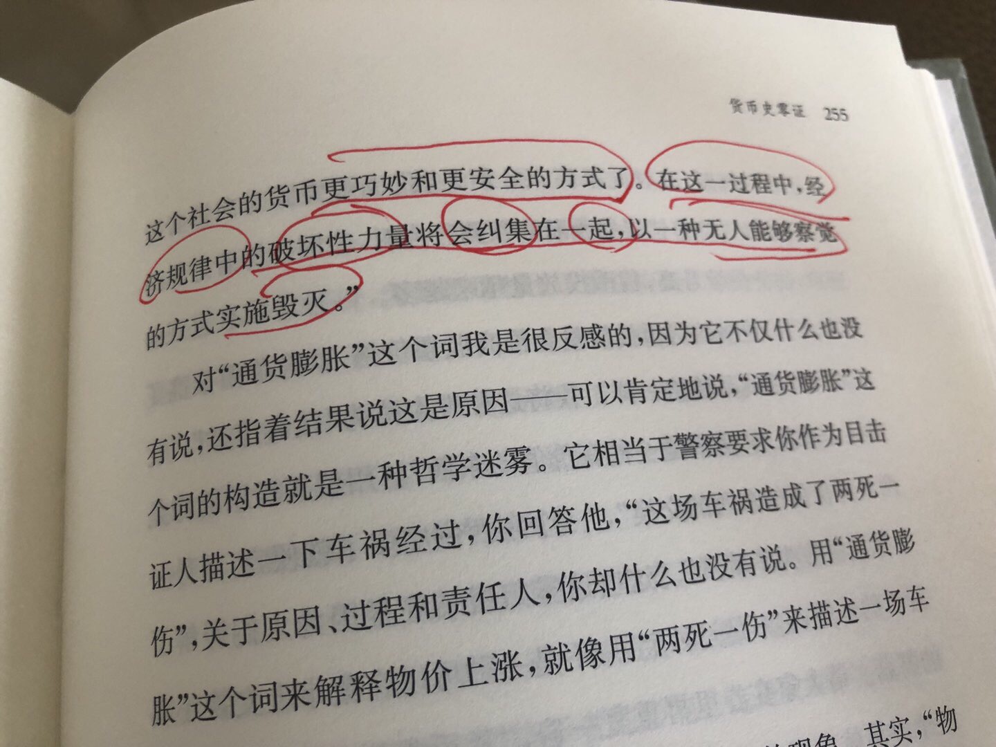 804342BA-E56A-48AC-93B0-4481E5CFA0ED.jpeg