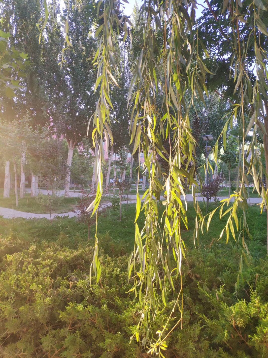 E3866F89-5362-4023-BE36-1547233CC8FD.jpeg