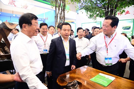 2019年9月19日，国家林业和草原局局长、党组书记张建龙等领导在聊城展区查看材果兼用黑.jpg