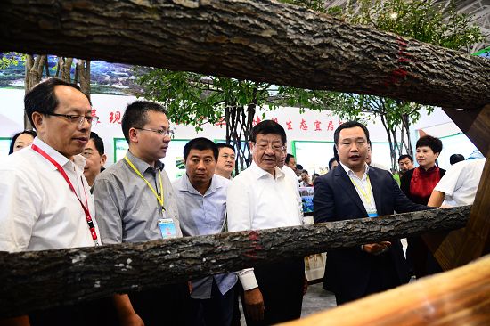 2019年9月19日，国家林业和草原局局长、党组书记张建龙等领导在聊城展区查看材果兼用黑.jpg