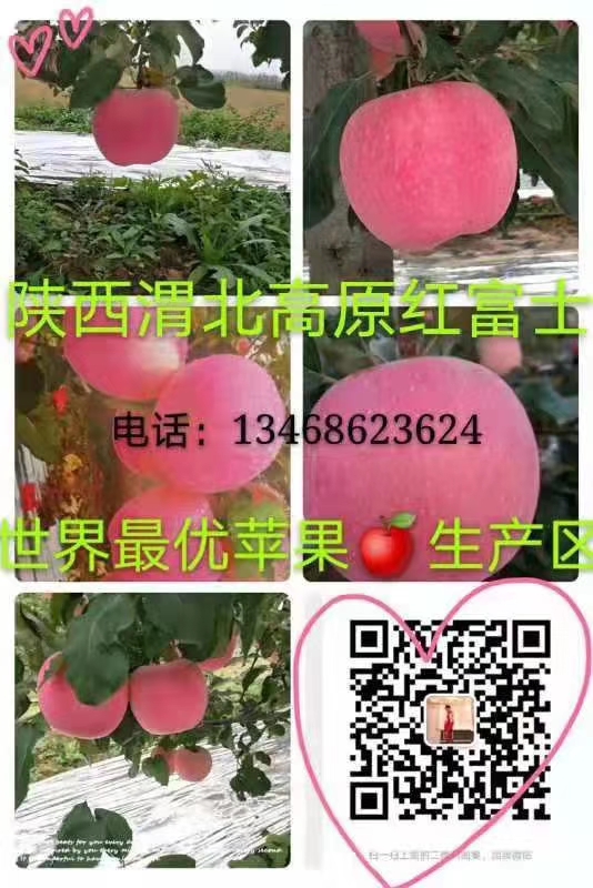 mmexport1570536164141.jpg
