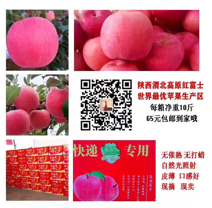 mmexport1570536168594.jpg