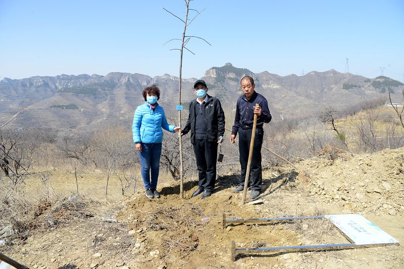 2020年3月17日，我为祖国种棵树活动在博山区大山深处泉子村植树现场。 (44).JPG